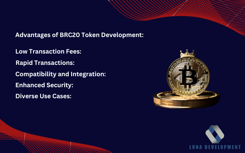 BRC20 Token Development