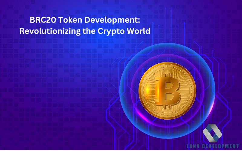 BRC20 Token Development