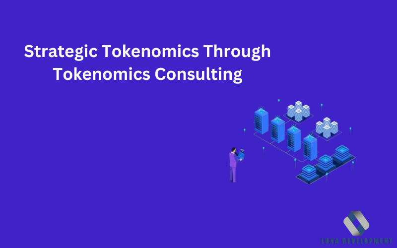 Tokenomics Consulting